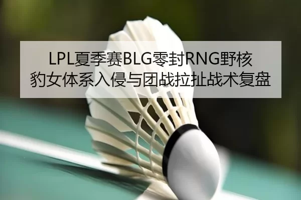 LPL夏季赛BLG零封RNG野核豹女体系入侵与团战拉扯战术复盘