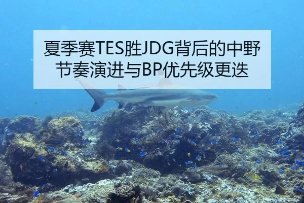 夏季赛TES胜JDG背后的中野节奏演进与BP优先级更迭